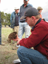 Examining Soil